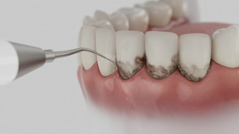 Reliable Dental contractor in McGregor, FL by Dentist Open Now